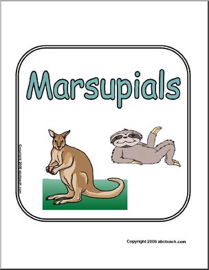 Sign: Animals – Marsupials