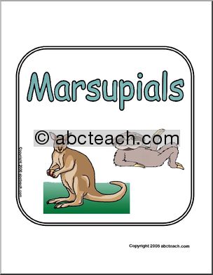 Sign: Animals – Marsupials