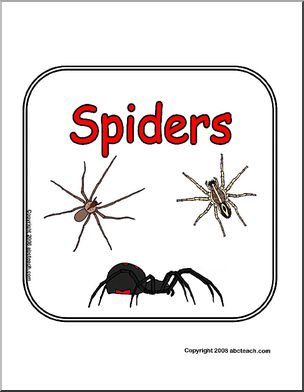 Sign: Animals – Spiders