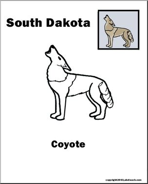 South Dakota: State Animal – Coyote