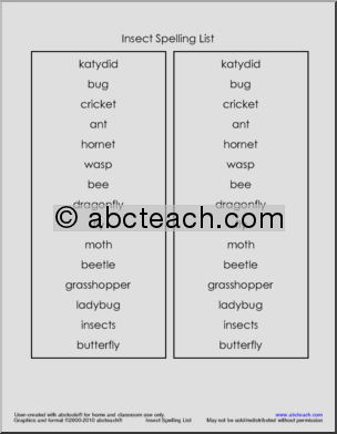 Spelling Words: Insects