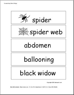 Word Wall: Spiders
