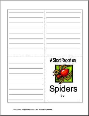 Report Form: Spiders  (color)