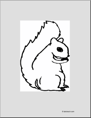 Coloring Page: Squirrel