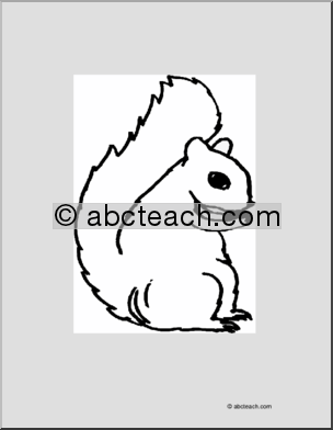 Coloring Page: Squirrel