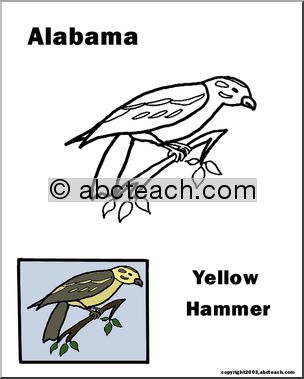 Alabama: State Bird – Yellowhammer