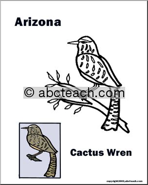 Arizona: State Bird  – Cactus Wren