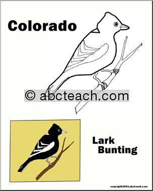 Colorado: State Bird – Lark Bunting