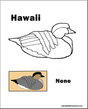 Hawaii: State Bird – Nene