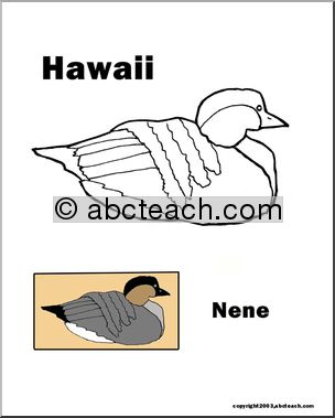 Hawaii: State Bird – Nene