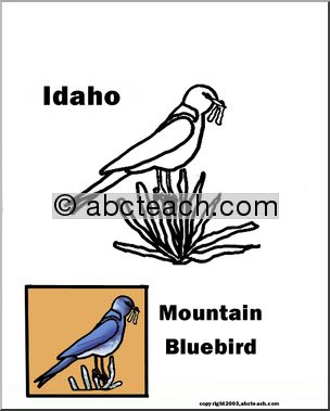 Idaho: State Bird – Mountain Bluebird