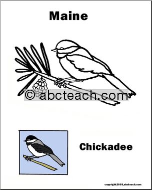Maine: State Bird – Chickadee