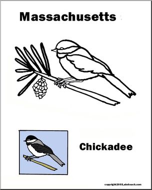Massachusetts: State Bird – Chickadee