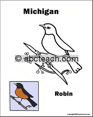 Michigan: State Bird – Robin