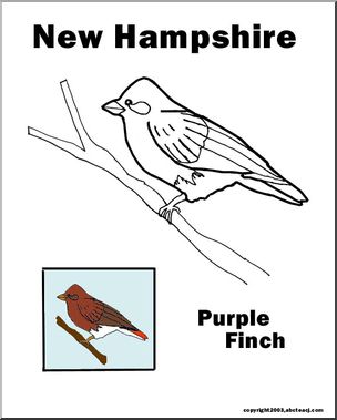 New Hampshire: State Bird – Purple Finch