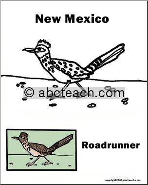 New Mexico: State Bird  – Roadrunner