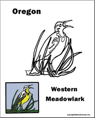 Oregon: State Bird  – Western Meadowlark