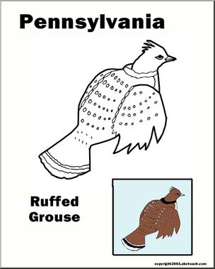 Pennsylvania: State Bird – Ruffed Grouse