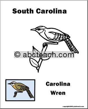 South Carolina: State Bird – Great Carolina Wren