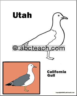 Utah: State Bird – California Seagull