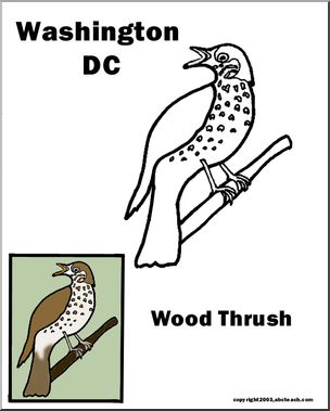 District of Columbia: State Bird – Wood Thrush