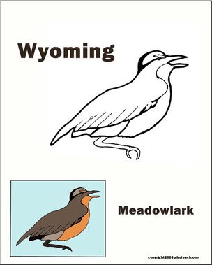 Wyoming: State Bird  – Western Meadowlark