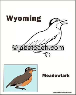 Wyoming: State Bird  – Western Meadowlark