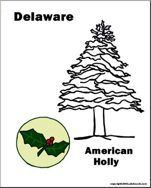 Delaware: State Tree – Holly