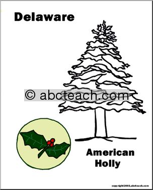 Delaware: State Tree – Holly