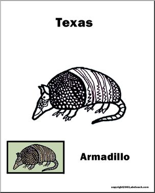 Texas: State Animal – Armadillo