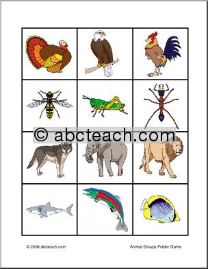 Sorting Game: Animal Groups (color) | Abcteach