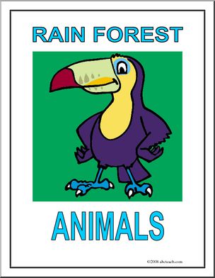 Poster: Rain Forest Animals