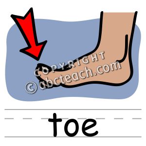 Clip Art: Basic Words: Toe Color (poster)