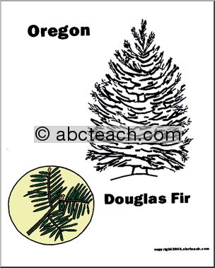 Oregon: State Tree – Douglas Fir