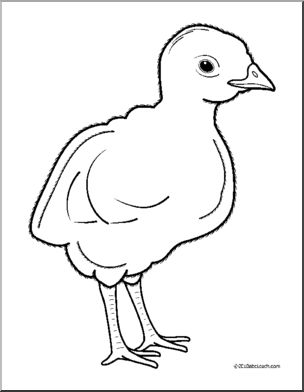 Clip Art: Baby Animals: Turkey Poult (coloring page)