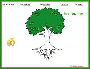 Interactive: PowerPoint: French: Vocabulaire–CrÃˆer un arbre