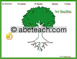 Interactive: PowerPoint: French: Vocabulaire–CrÃˆer un arbre