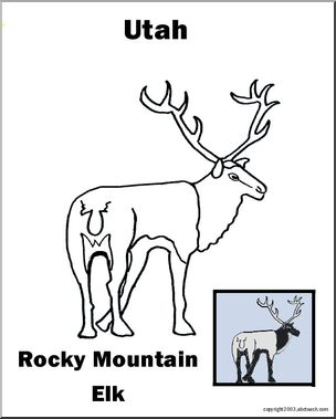 Utah: State Animal  – Elk