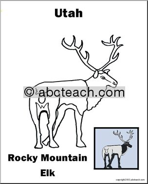 Utah: State Animal  – Elk