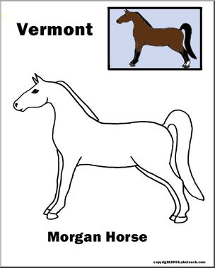 Vermont: State Animal – Morgan Horse