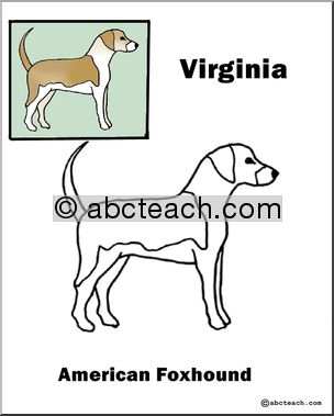 Virginia: State Animal  – American Foxhound