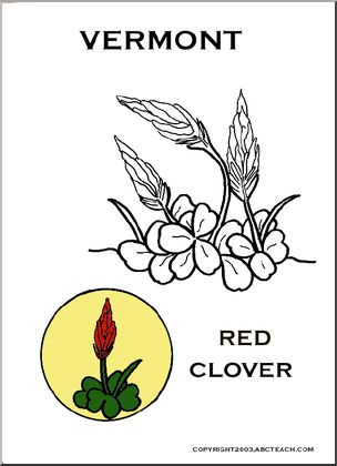 Vermont:  State Flower – Red Clover