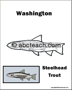 Washington: State Animal – Steelhead Trout