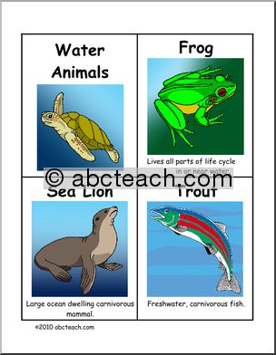 Vocabulary Cards: Water Animals (color) (upper elem/middle)