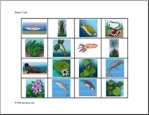 Bingo: Water Plants and Animals (color)