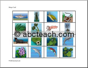 Bingo: Water Plants and Animals (color)