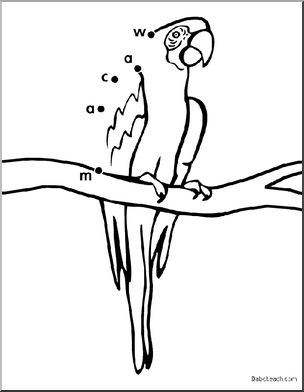 Dot to Dot: Macaw (spelling)