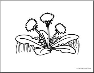 Clip Art: Basic Words: Weed (coloring page)
