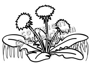 Clip Art: Basic Words: Weed (coloring page)