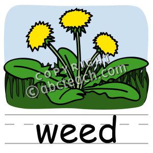Clip Art: Basic Words: Weed Color (poster)